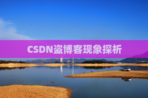 CSDN盗博客现象探析 CSDN盗博客现象探析
